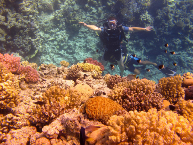 Сергей, Россия, Москва. Фото на сайте ГдеПапа.Ру