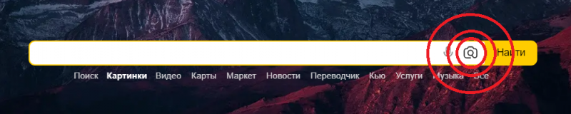 Девушки стали меньше фоток выгружать на страницы СЗ из-за Яндекса.