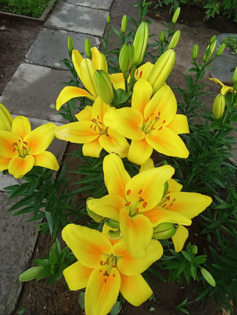 Мой вариант утра для вас.