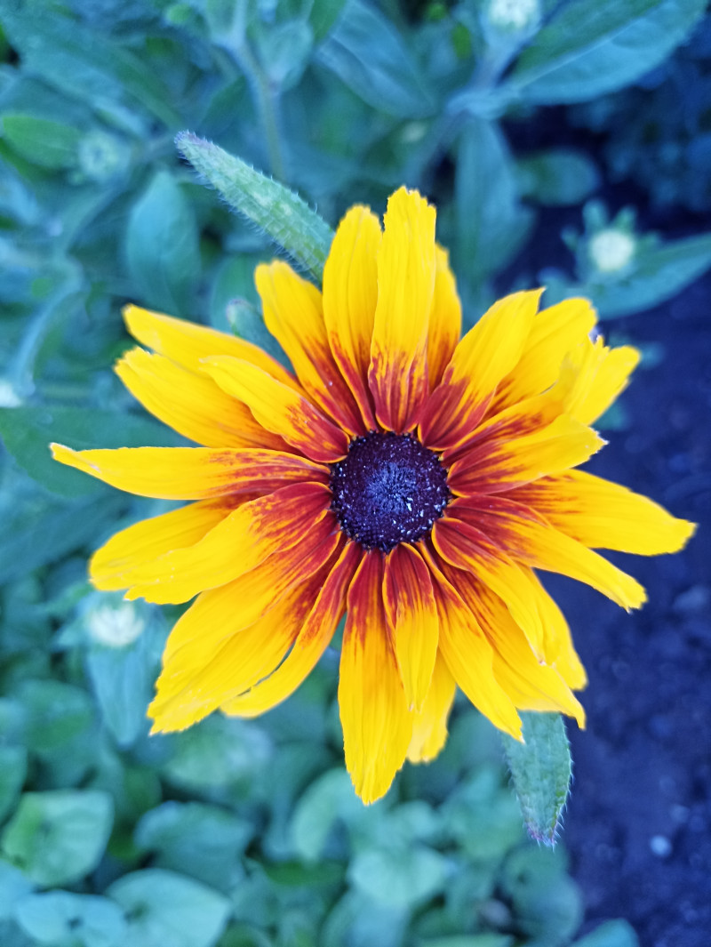 Мой вариант утра для вас.