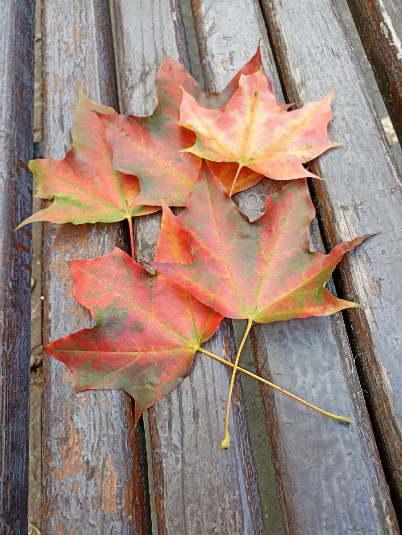 Офисным от уличных