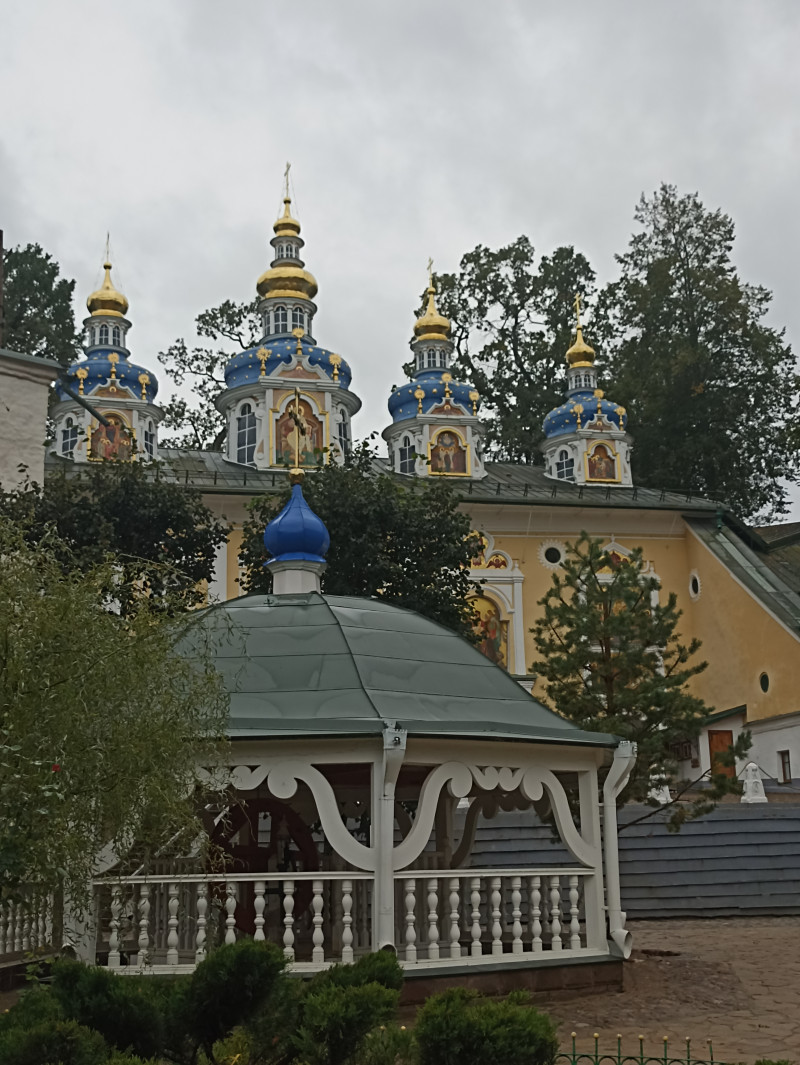 Псково-печорские розы, всем благодатных ярких выходных