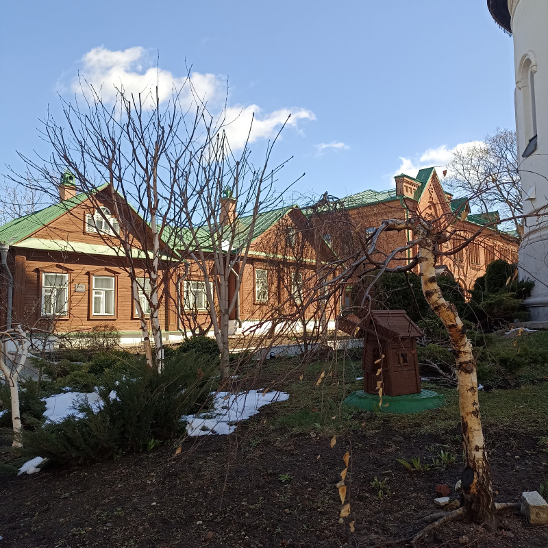 "Остапа" понесло или московские зарисовки в Вербное воскресенье