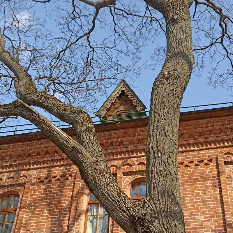 "Остапа" понесло или московские зарисовки в Вербное воскресенье