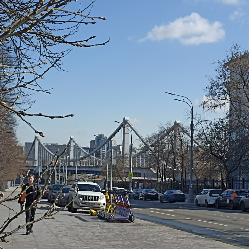 "Остапа" понесло или московские зарисовки в Вербное воскресенье