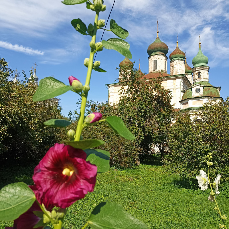 31 августа в калейдоскопе ярких красок и ароматом душевного городка