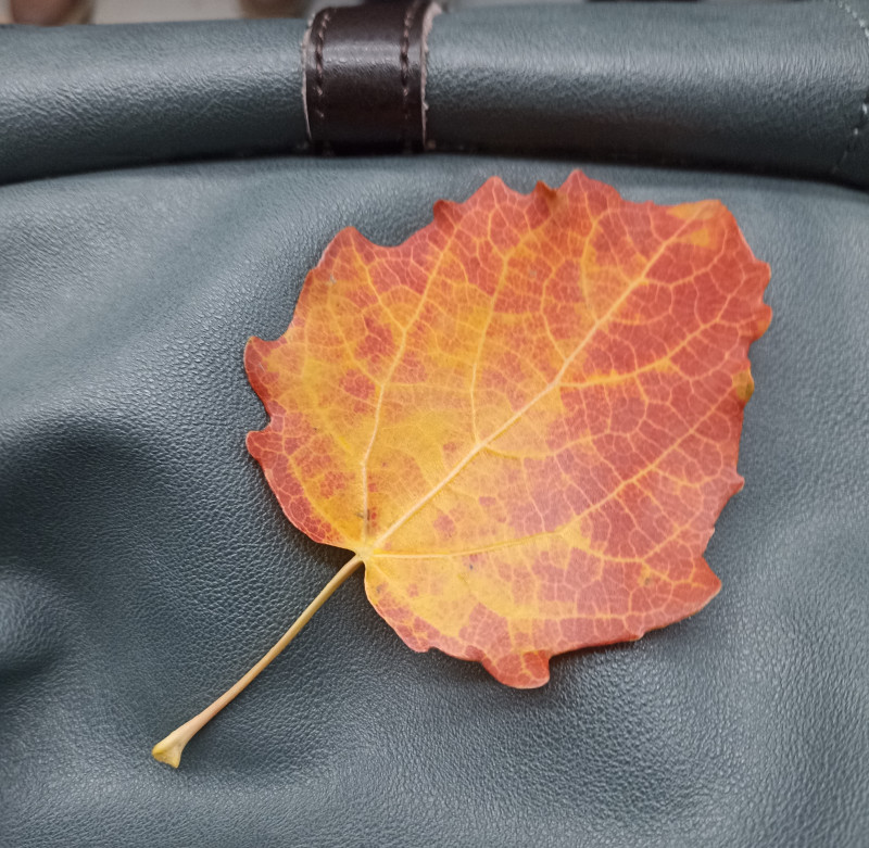 Кто-то напоминает о себе?