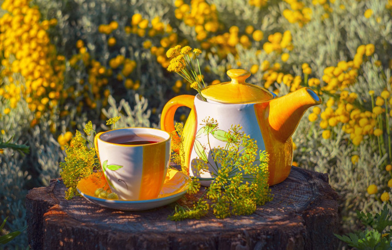 Мой вариант утра для вас.