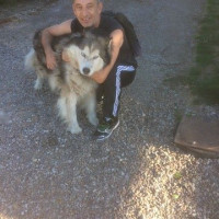 Александр Александр, Украина, Запорожье, 51 год