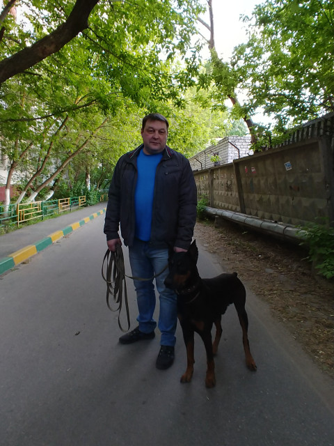 Михаил, Россия, Нижний Новгород. Фото на сайте ГдеПапа.Ру