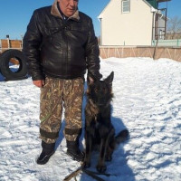 олег кузнецов, Россия, Еманжелинск, 53 года