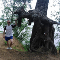 Григорий Каморный, Россия, Санкт-Петербург, 35 лет