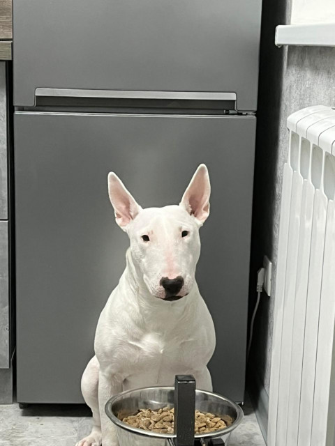 Дима, Россия, Москва. Фото на сайте ГдеПапа.Ру