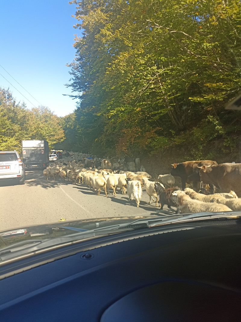 Когда политика в стороне