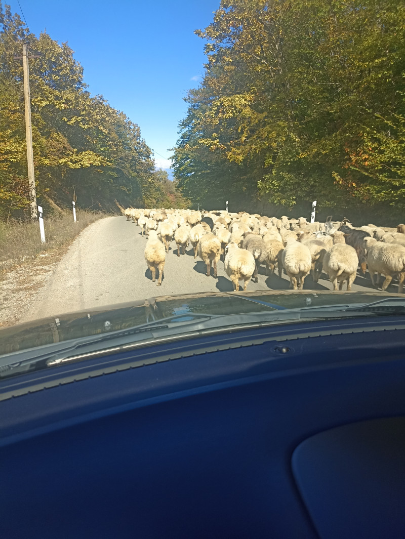 Когда политика в стороне