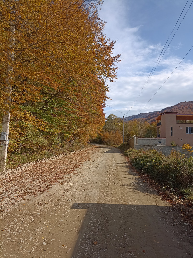 Осень продолжается!