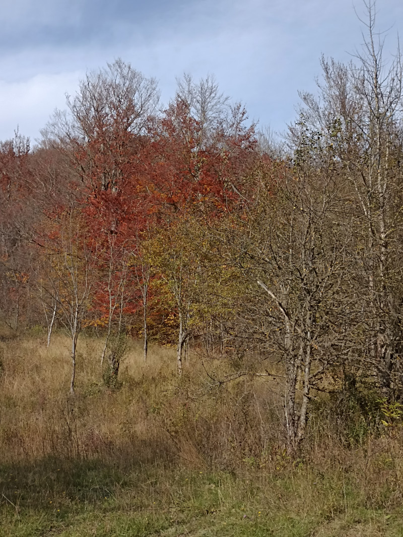 Осень продолжается!