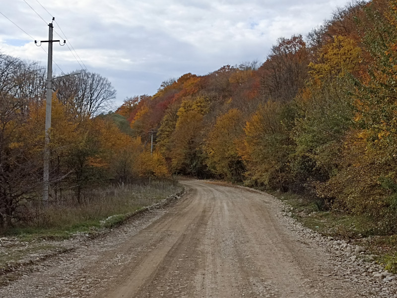 Осень продолжается!