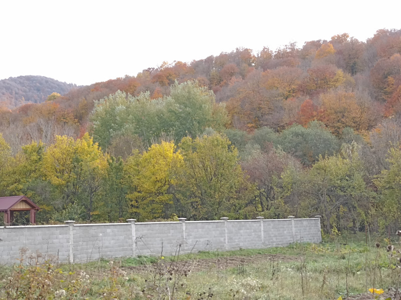 Осень продолжается!