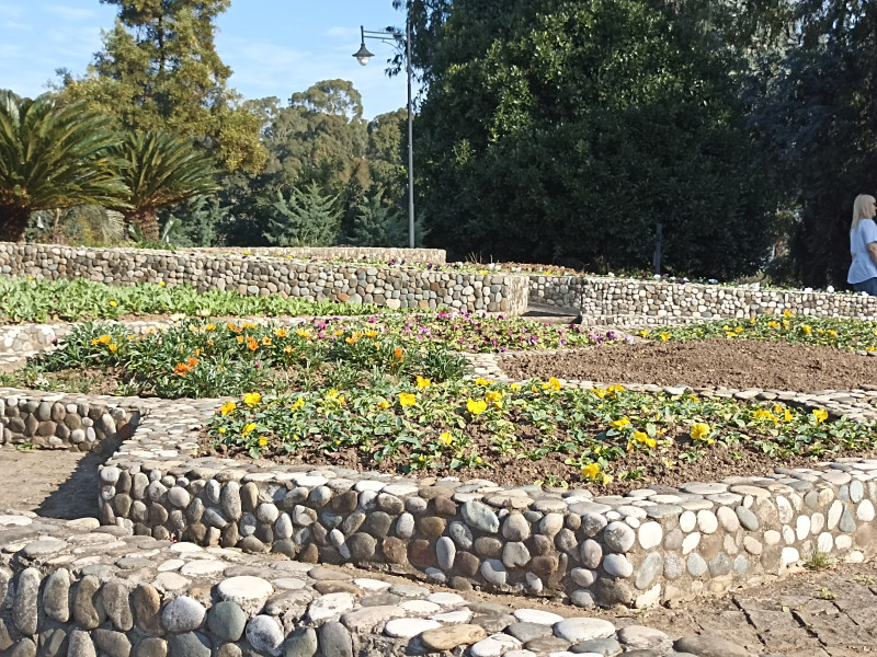 Что делать, осень закончилась