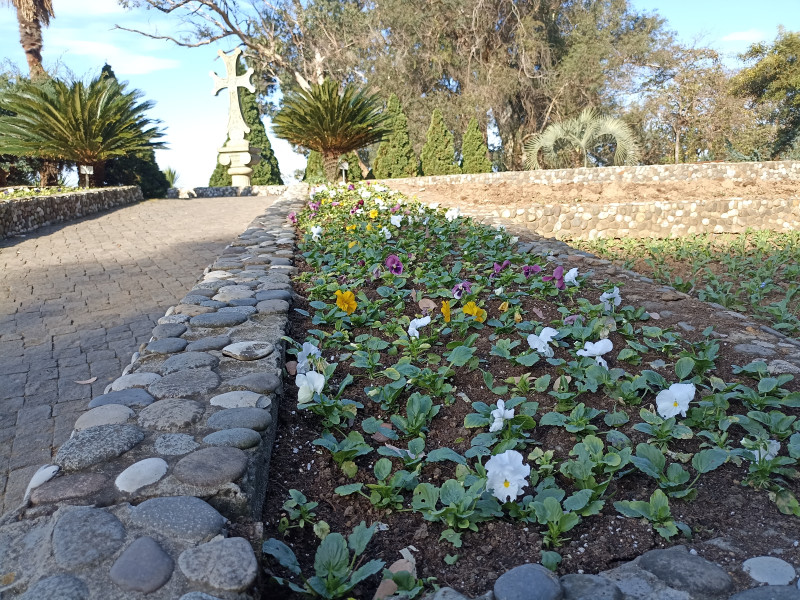 Что делать, осень закончилась