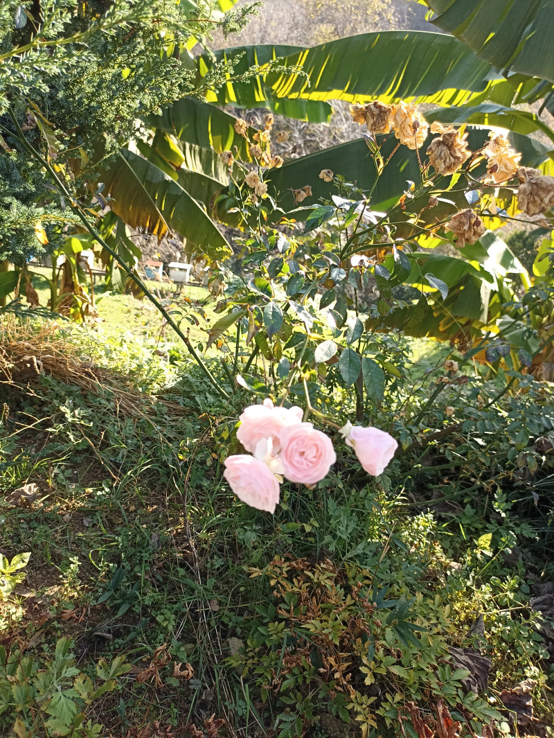 Что делать, осень закончилась