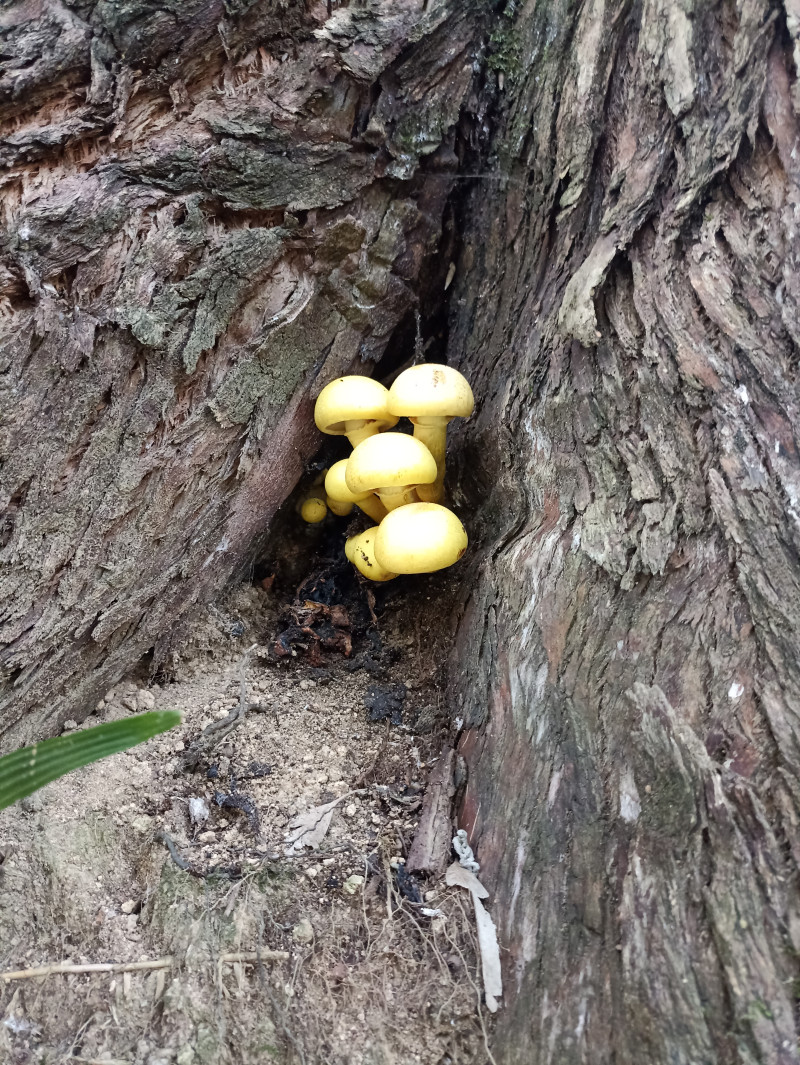 Что делать, осень закончилась