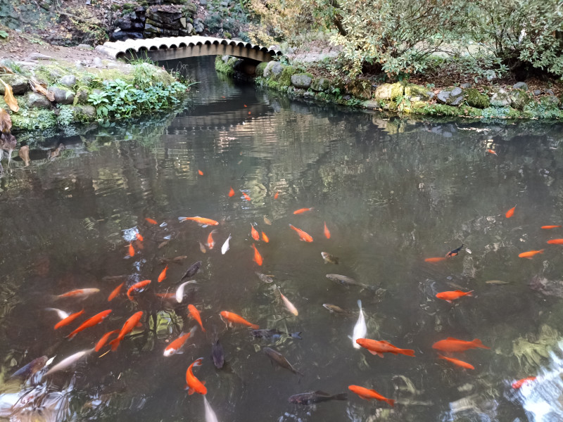 Что делать, осень закончилась