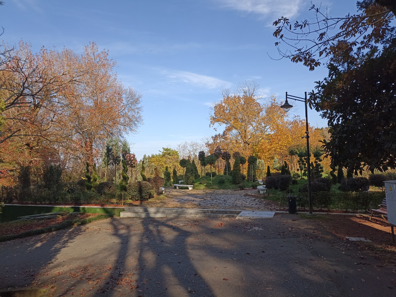 Что делать, осень закончилась