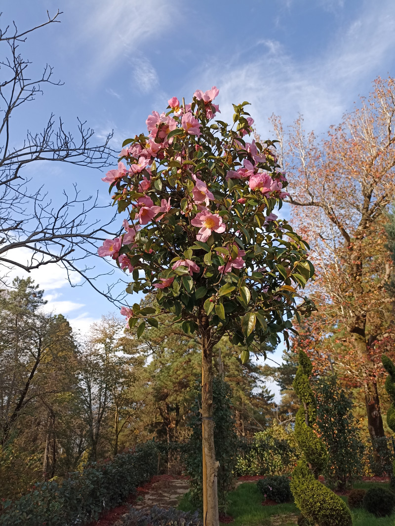 Что делать, осень закончилась