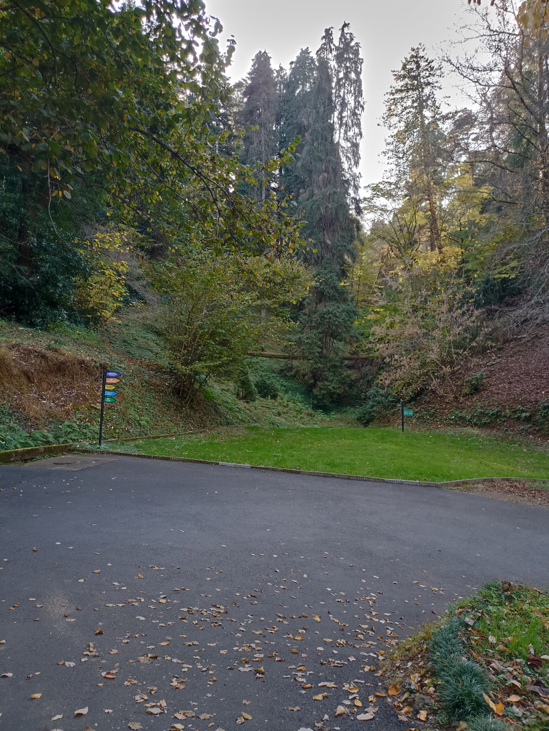 Что делать, осень закончилась