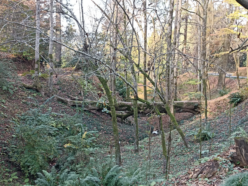 Что делать, осень закончилась