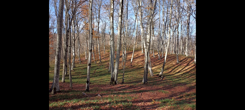 4 недели до зимы, осенние выходные