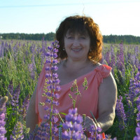 Светлана, Россия, Санкт-Петербург, 56 лет