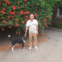Сергей, Россия, Ростов-на-Дону, 72 года