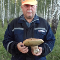Алексей, Россия, Челябинск, 53 года