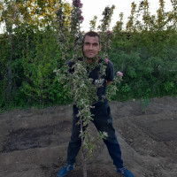 Виталий, Казахстан, Аксай, 35 лет