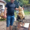 Сергей, 50, Россия, Армавир
