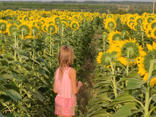 Александр, Россия, Москва. Фото на сайте ГдеПапа.Ру