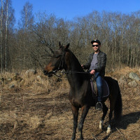 Сергей, Россия, Санкт-Петербург, 36 лет