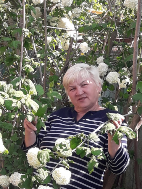 Елена, Россия, Нижневартовск, 63 года. Хочу познакомиться с мужчиной