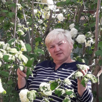 Елена, Россия, Нижневартовск, 63 года