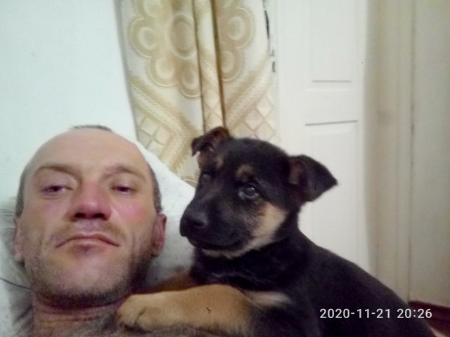 Сергей, Украина, Днепропетровск, 41 год. Хочется семейного уюта