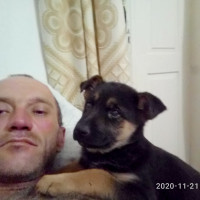 Сергей, Украина, Днепропетровск, 41 год