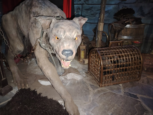 Лилия, Россия, Санкт-Петербург. Фото на сайте ГдеПапа.Ру