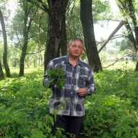 Анатолий, Россия, Санкт-Петербург, 64 года