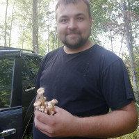 Александр, Россия, Новосибирск, 37 лет