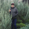 Ольга, 50, Россия, Белгород