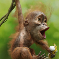 Алексей, Россия, Санкт-Петербург, 42 года