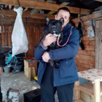 Николай Белов, Россия, Омск, 40 лет